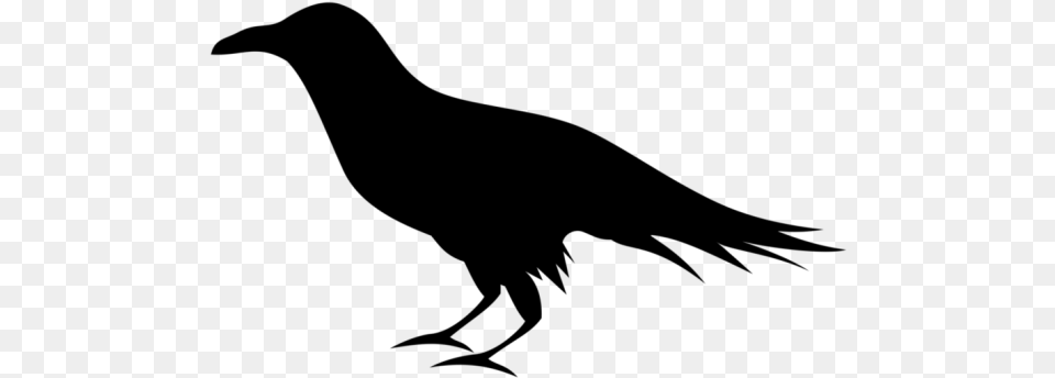 Raven Clipart, Gray Free Transparent Png