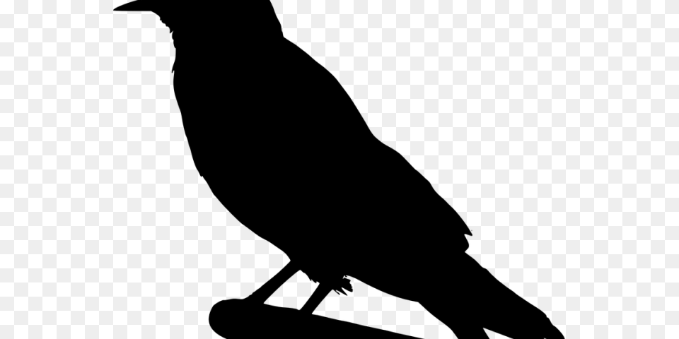 Raven Clipart Background Black Crow Clip Art, Gray Free Png