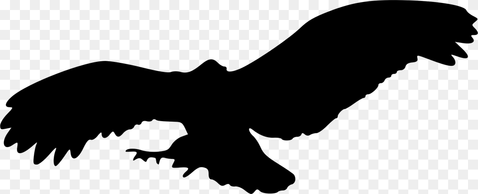 Raven Clipart In Flight, Gray Png Image