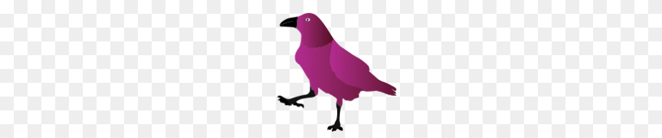 Raven Clipart Purple, Animal, Bird, Finch, Parakeet Png