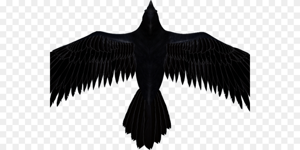 Raven Clipart Transparent Background Clip Art Raven, Animal, Bird, Blackbird, Silhouette Png Image