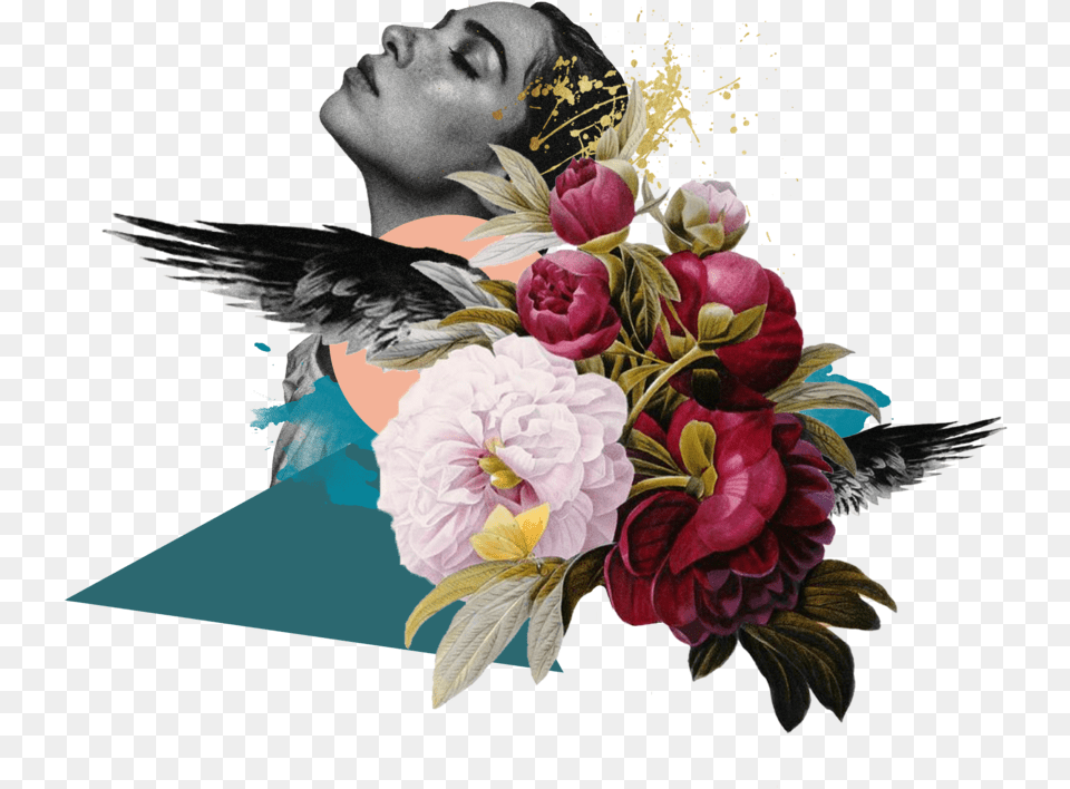 Raven Collage Redoute Flower, Graphics, Art, Plant, Flower Arrangement Free Transparent Png