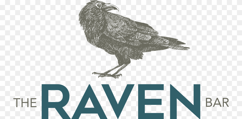 Raven Cork Logo, Person, Animal, Bird, Vulture Png