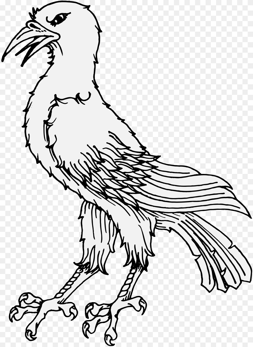 Raven Feather, Stencil, Adult, Person, Female Png Image