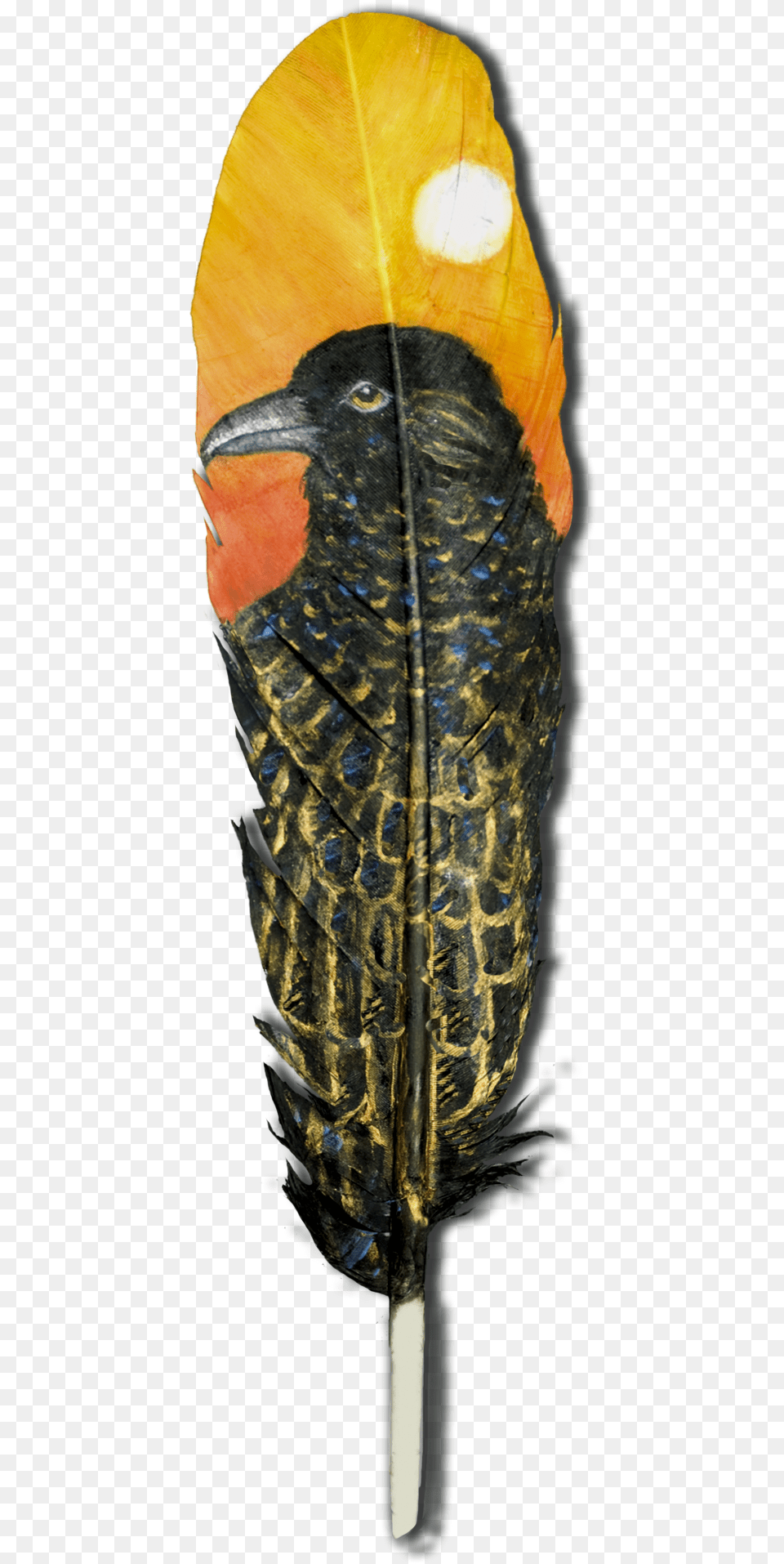 Raven Feather, Animal, Beak, Bird, Leaf Png