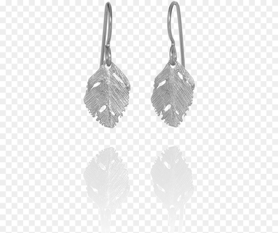 Raven Feather, Accessories, Earring, Jewelry Free Transparent Png