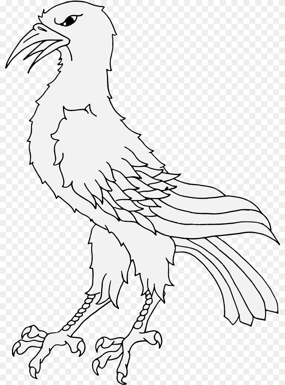Raven Feather Bird Of Prey, Stencil, Adult, Female, Person Png