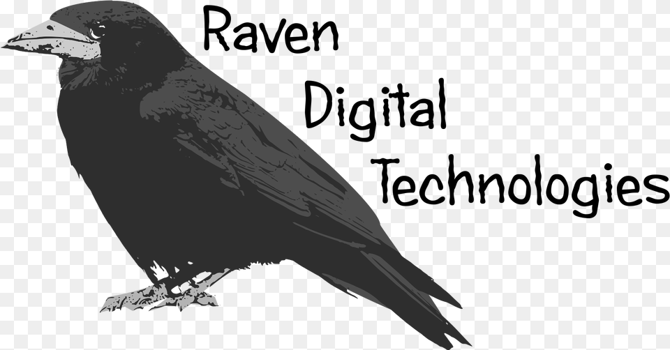 Raven Feather Raven Download Bird Of Prey Bird Of Prey, Animal, Blackbird, Fish, Sea Life Free Png