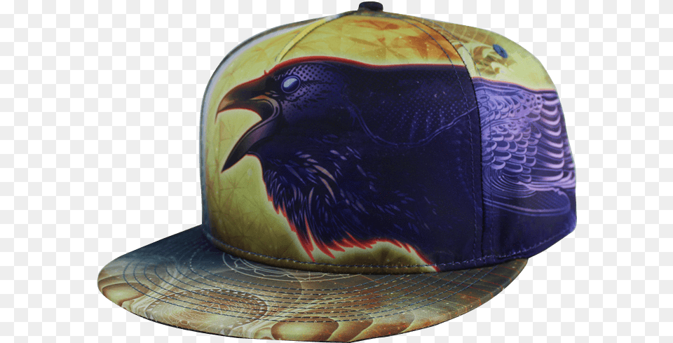 Raven Fitted Hat Hawk, Baseball Cap, Cap, Clothing, Accessories Free Png