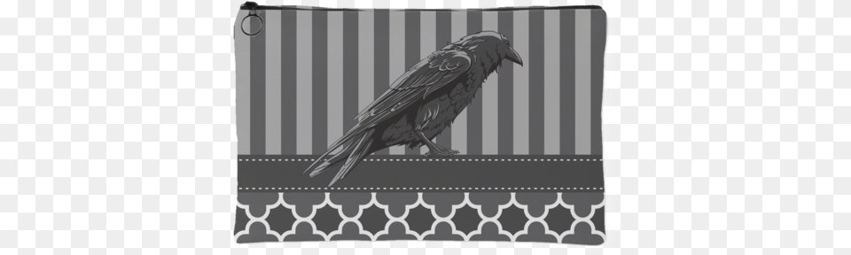 Raven Gray Stripes Trendy Subsidiary, Animal, Bird, Blackbird, Crow Png Image