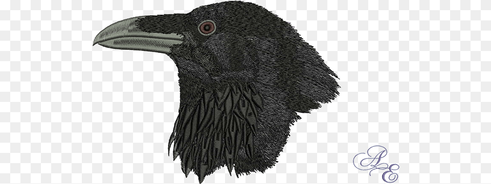 Raven Head Large Art, Animal, Beak, Bird, Blackbird Free Transparent Png
