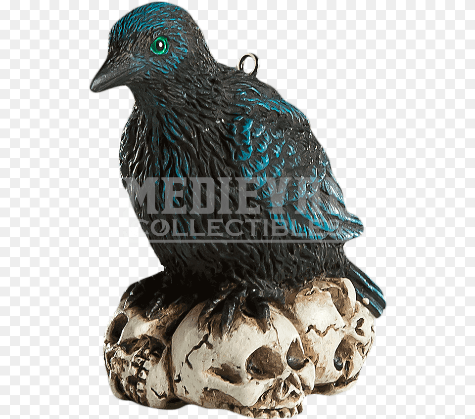 Raven Horror Ornament Bigbolo Raven Skull Christmas Ornament, Animal, Beak, Bird, Blackbird Free Png