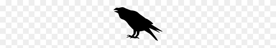 Raven Icon, Gray Free Png