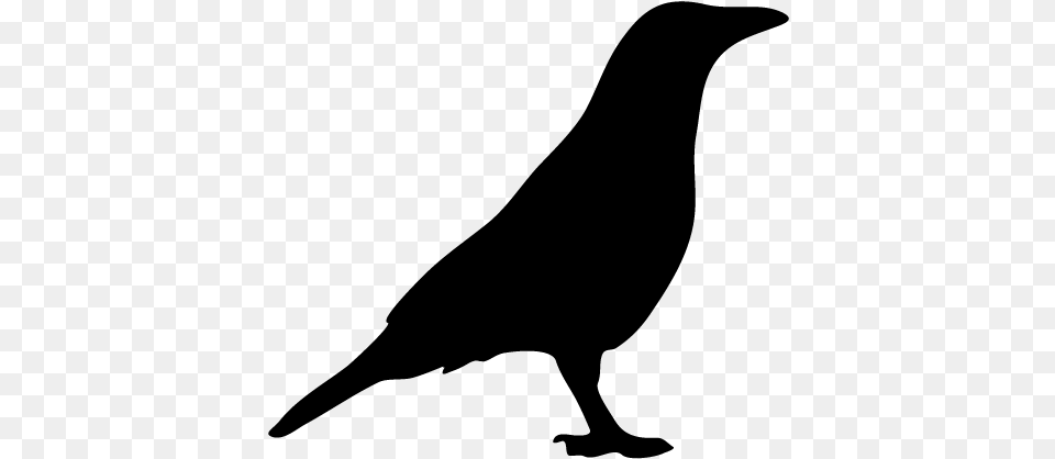 Raven Icon, Gray Free Png Download