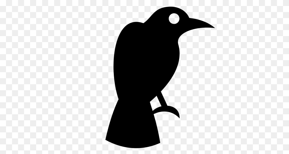 Raven Icon, Gray Free Png Download