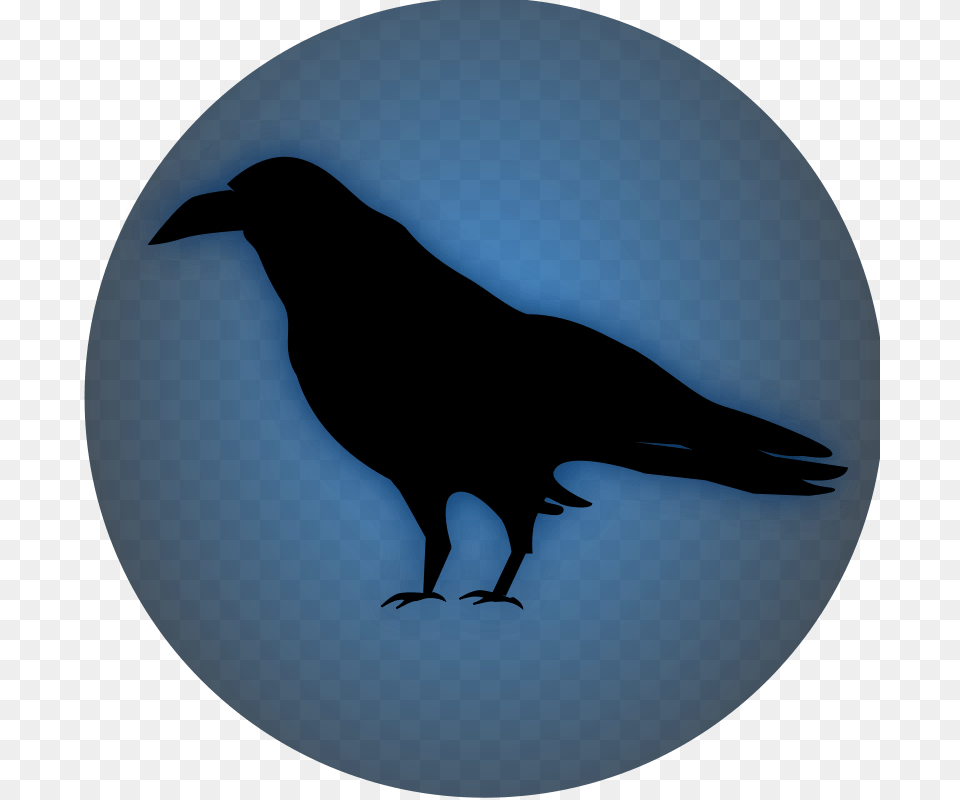 Raven Icon, Animal, Bird, Silhouette Png Image