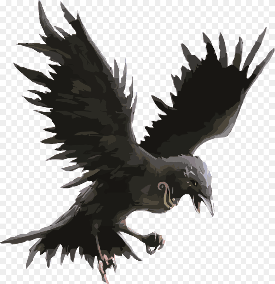 Raven In Flight Clipart, Animal, Bird, Vulture, Blackbird Free Png Download