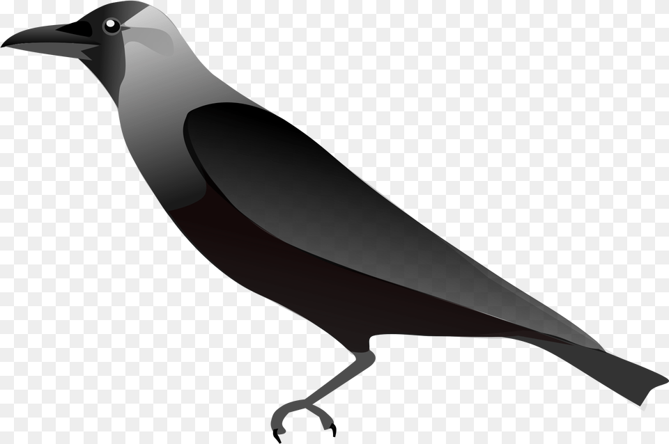Raven Outline Pic Of Crow, Animal, Bird, Blackbird, Fish Png