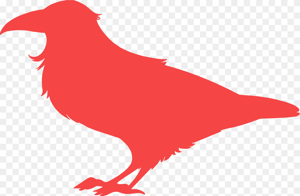 Raven Silhouette, Animal, Beak, Bird, Fish Free Transparent Png