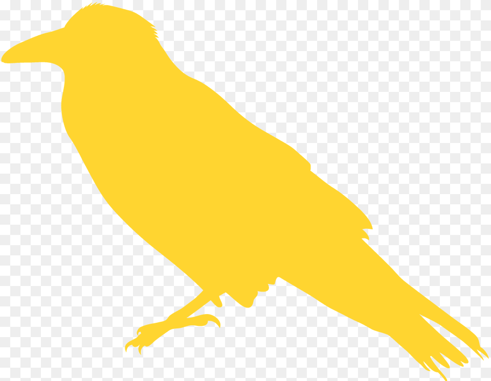 Raven Silhouette, Animal, Bird, Canary, Fish Png Image