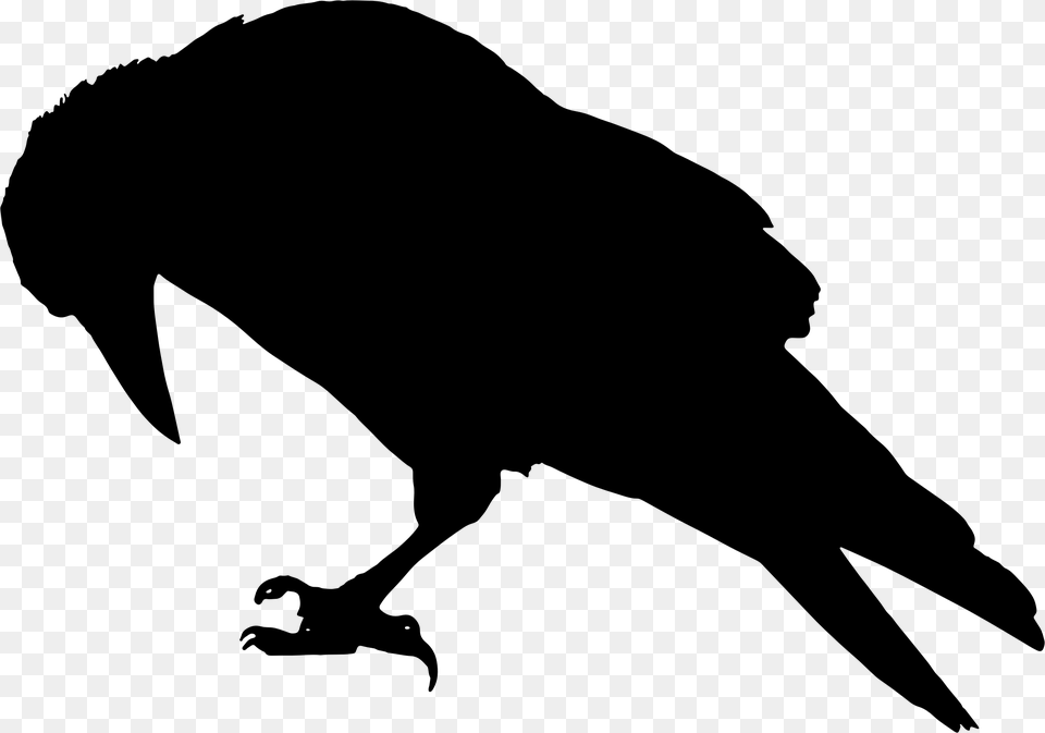 Raven Silhouette Icons, Gray Free Transparent Png