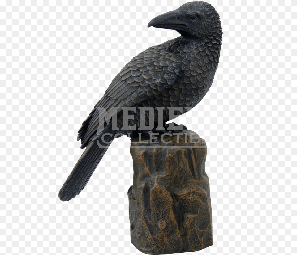 Raven Silhouette Perched American Crow, Animal, Beak, Bird, Blackbird Free Transparent Png