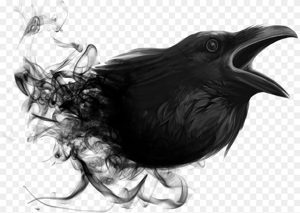Raven Smoke Picsart Editing, Animal, Bird, Blackbird, Black Free Png Download