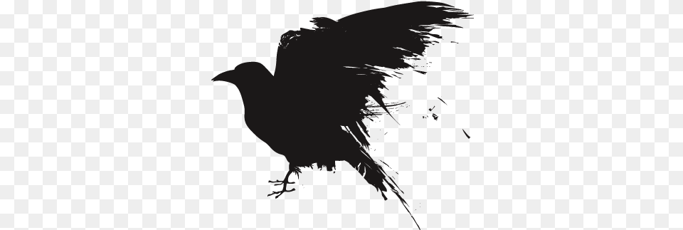 Raven Studio Harry Potter, Person, Animal, Bird, Blackbird Png Image