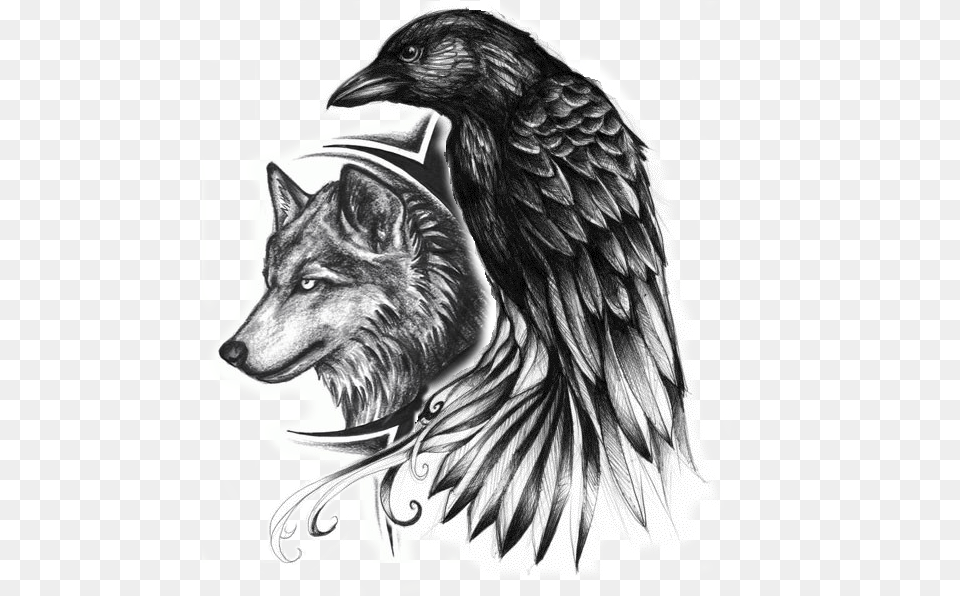 Raven Tattoo, Art, Drawing, Animal, Canine Free Png Download