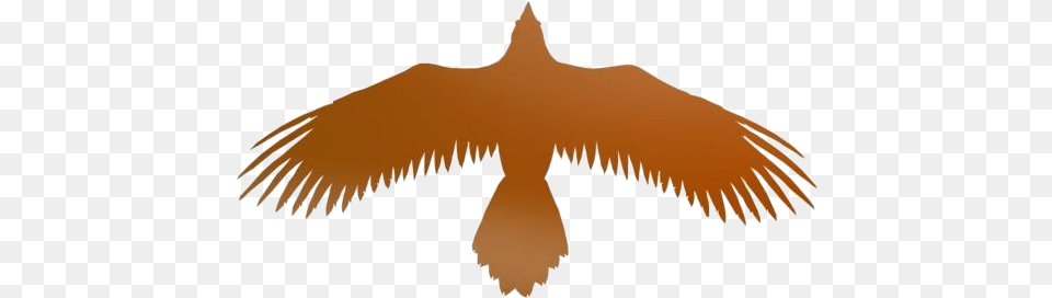 Raven Wings Tattoo File Eagle, Animal, Bird, Vulture, Beak Free Png