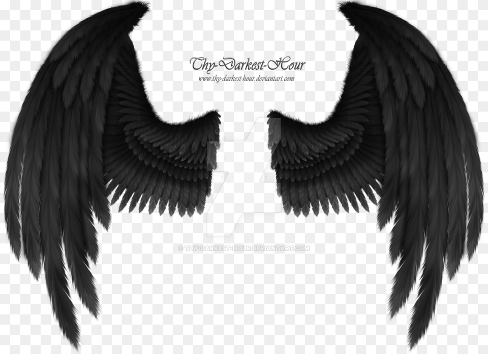 Raven Wings Transparent Black Angel Wings, Animal, Bird, Vulture, Symbol Free Png Download