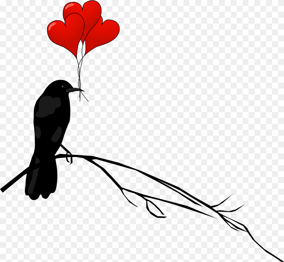 Raven With Balloons Clipart, Animal, Bird, Blackbird Png Image