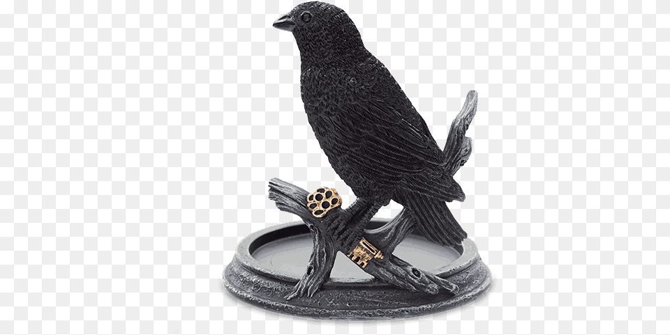 Raven Wrap Warmer Scentsy Raven Warmer Wrap, Animal, Bird, Blackbird Png Image