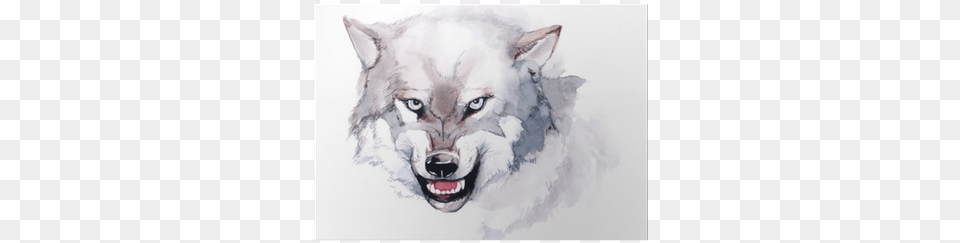 Ravening Heart Of The Wolf Book, Art, Animal, Mammal, Drawing Png Image