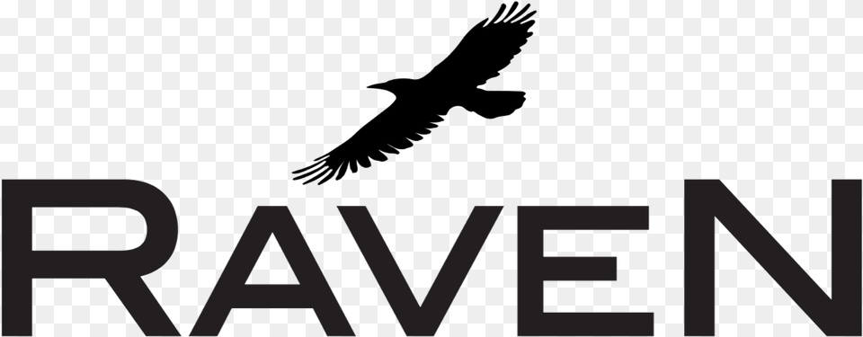 Ravenlogo Hawk, Animal, Bird, Flying, Vulture Png