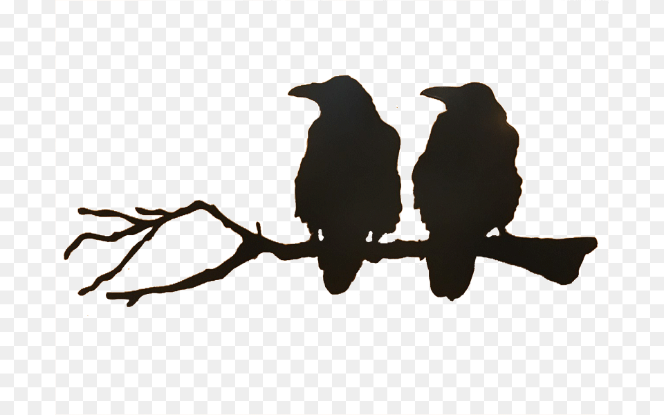 Ravens On A Branch, Silhouette, Animal, Bird, Penguin Free Png