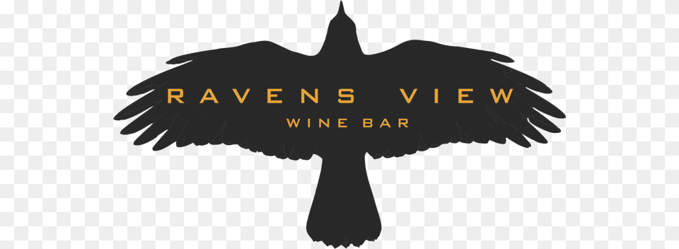 Ravens View Logo Winter Is Here Pillow Case, Animal, Bird, Blackbird, Vulture Png Image