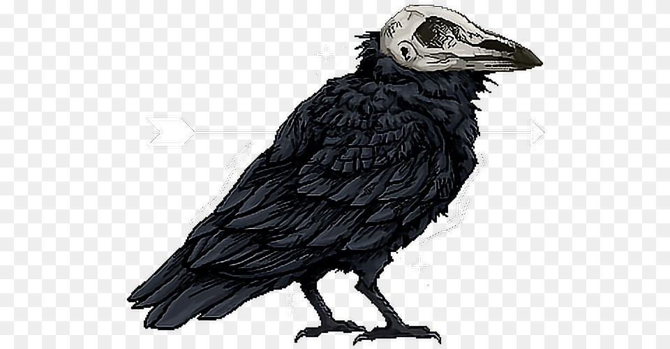 Ravenskullarrow Raven With Skull Head, Animal, Beak, Bird, Vulture Png