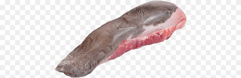 Raw Beef Tongue, Animal, Fish, Food, Meat Png