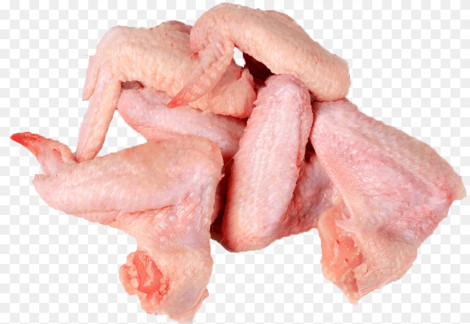 Raw Chicken Wings Download Chicken Wings Meat, Food, Pork, Animal, Bird Png Image