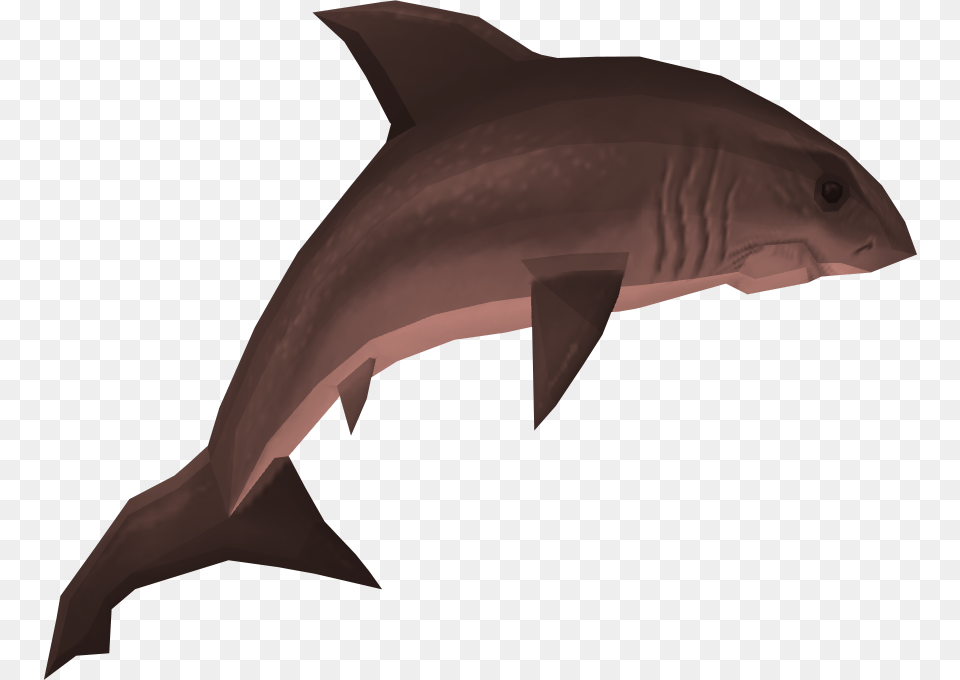 Raw Great White Shark Runescape Wiki Shark Runescape, Animal, Sea Life, Fish Free Png Download