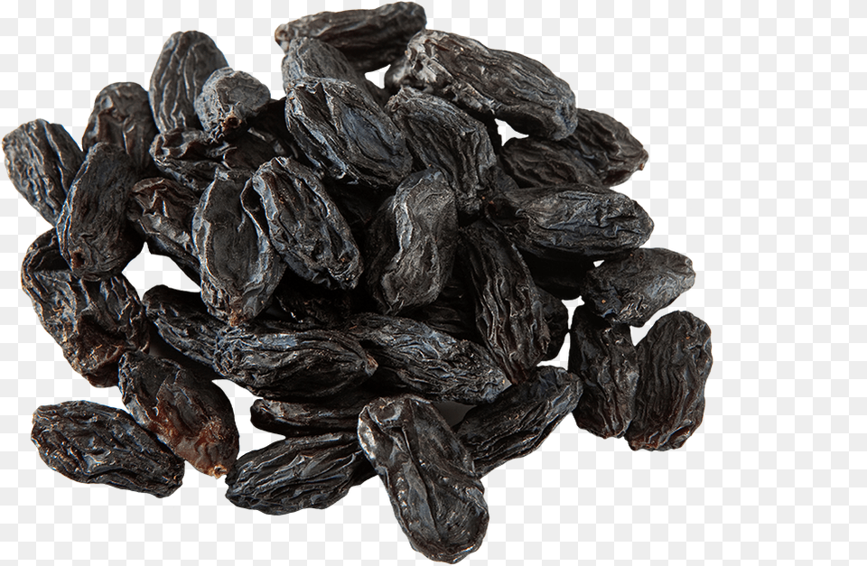 Raw Organic Black Bukhara Raisins Color Son Las Pasas, Plant Free Png