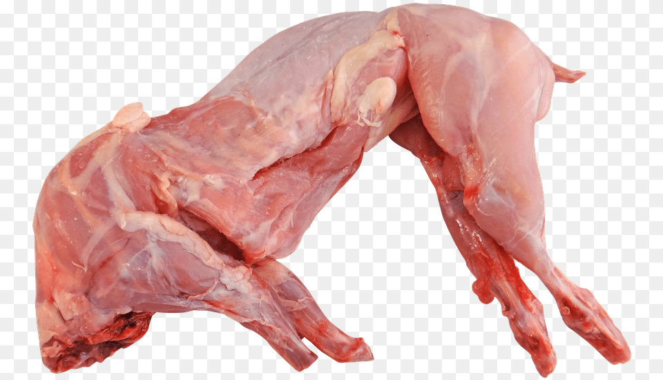 Raw Rabbit, Food, Meat, Mutton, Pork Free Transparent Png