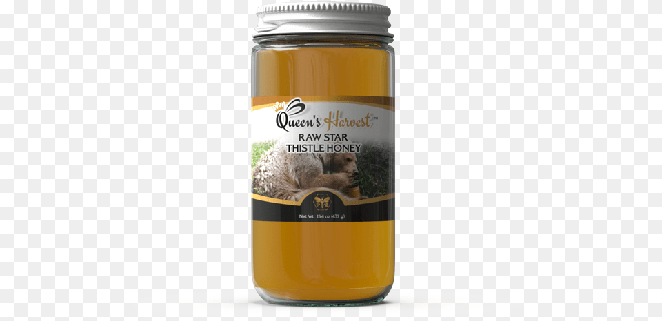 Raw Star Thistle Honey Kombucha, Jar, Animal, Mammal, Pet Free Transparent Png