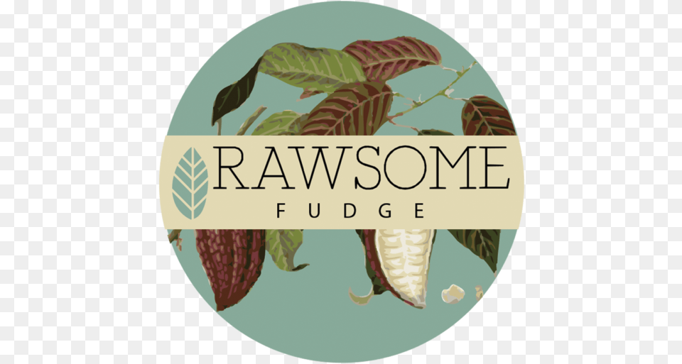 Rawsome Fudge, Leaf, Plant Png Image