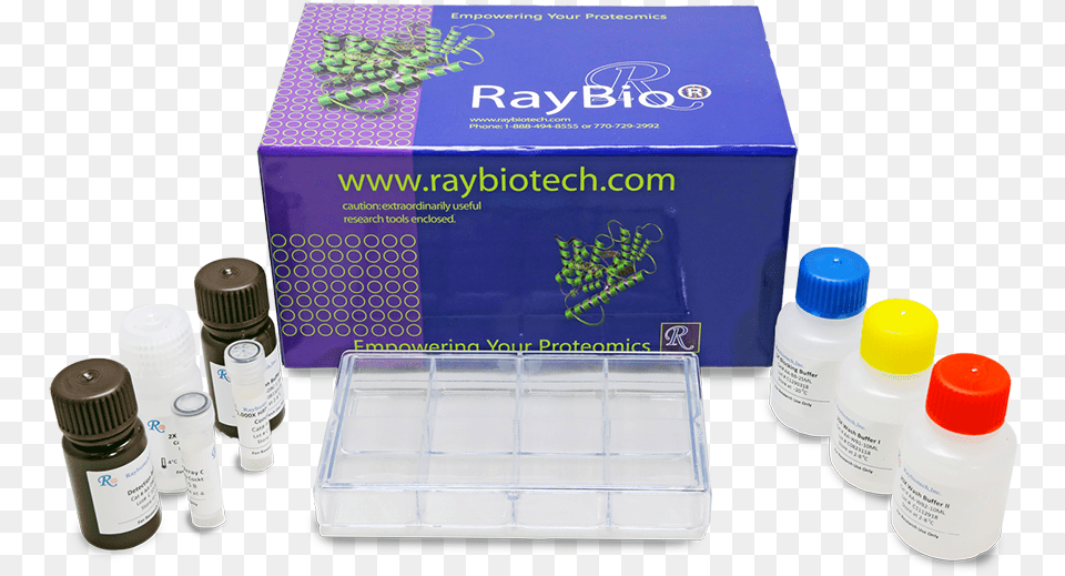Ray Bio Human Cytokine Antibody Array, Cabinet, Furniture, Box, Bottle Free Transparent Png