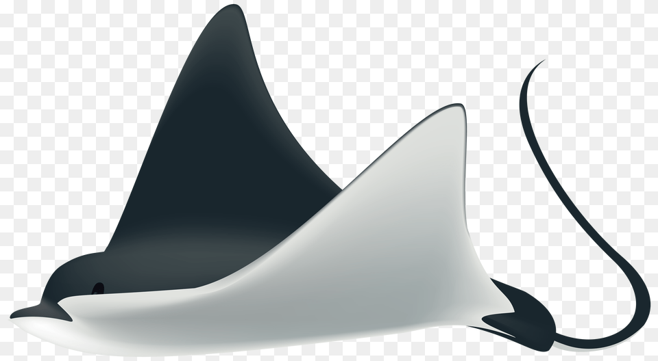 Ray Fish Transparent Clip Art, Shoe, Graphics, Footwear, Clothing Png
