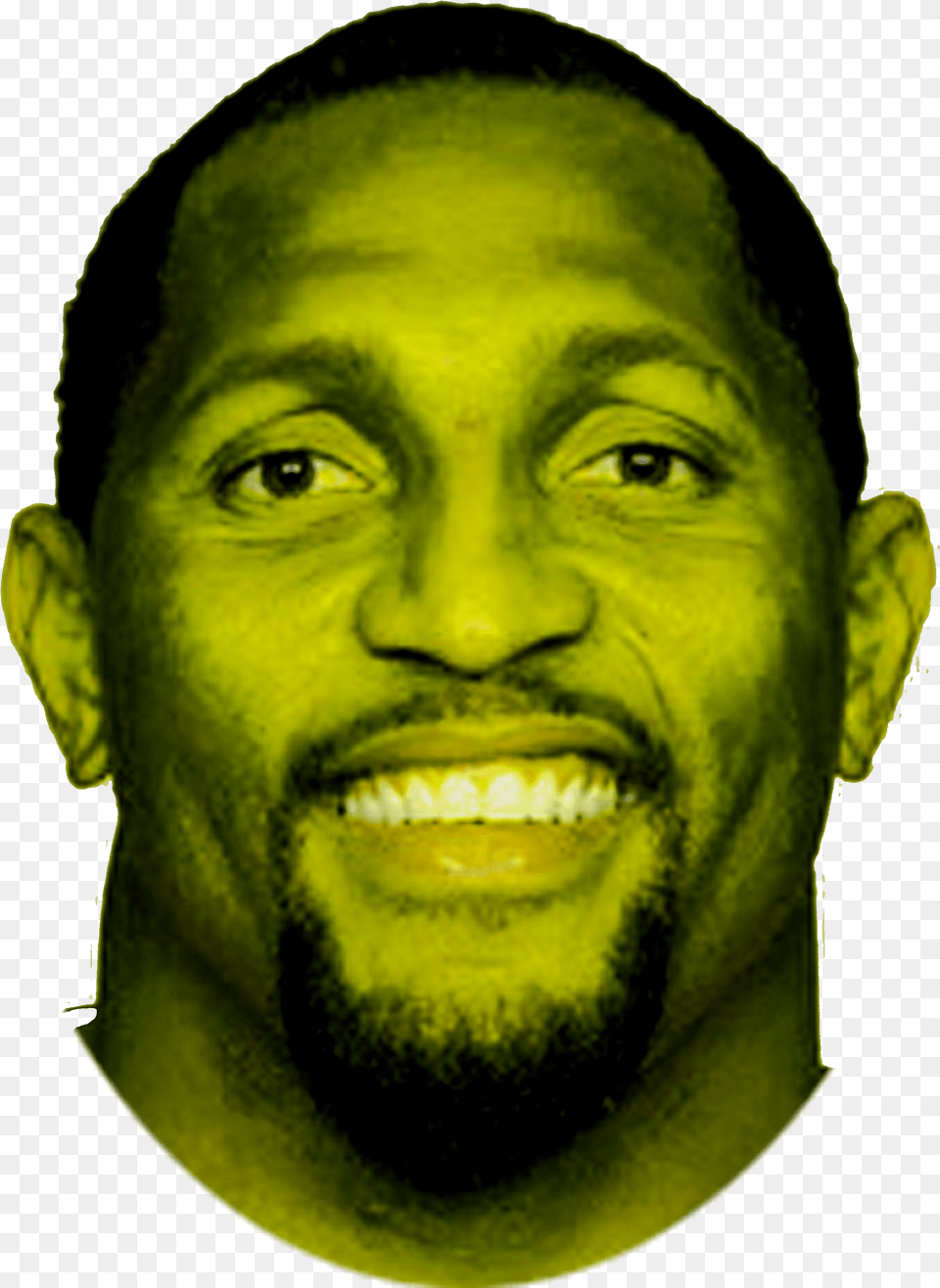 Ray Lewis Ed Reed Illustration, Adult, Smile, Portrait, Photography Png