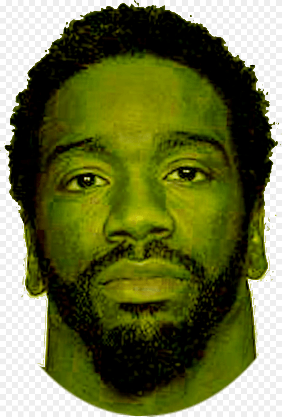 Ray Lewis Ed Reed Self Portrait, Beard, Face, Head, Person Free Transparent Png