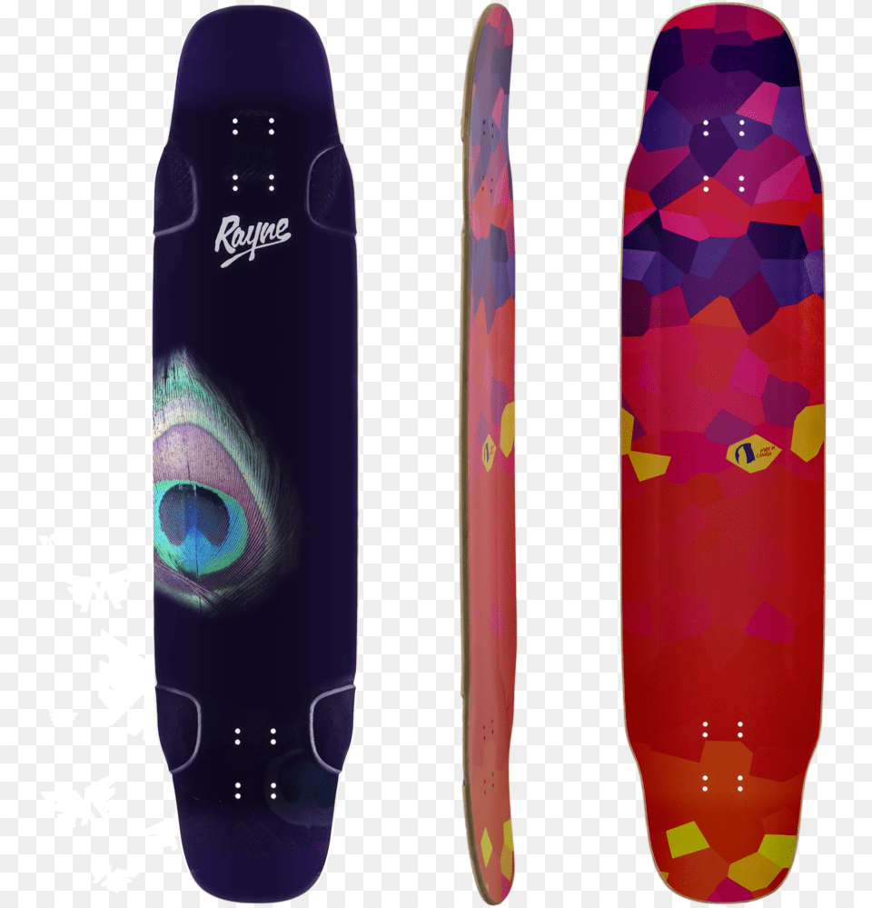 Rayne Whip 41 Peacock Longboard Deck, Bottle, Skateboard, Water Bottle, Nature Png